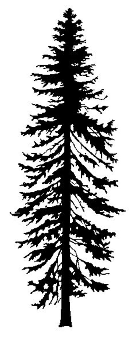 Fir Tree Black And White Bing Images Clip Art Pinterest Trees