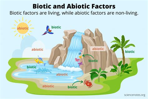 Ocean Ecosystem Biotic And Abiotic Factors