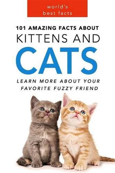 Cats 101 Amazing Facts About Cats Cat Books For Kids By Jenny Kellett