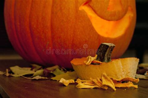Dehydrated Homemade Pumpkin Dog Treats With Pumpkin Stock Photo Image