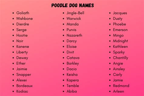 Poodle Dog Names 800 Fabulous And Cute Poodle Dog Names List 2024