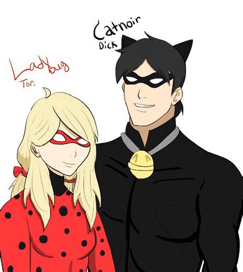 Snowarrow And Nightwing As Ladybug And Catnoir Dc Entertainment Amino