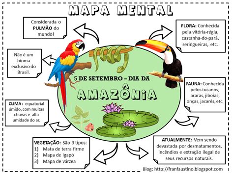 Mapa Mental Bioma Amazonia Edupro