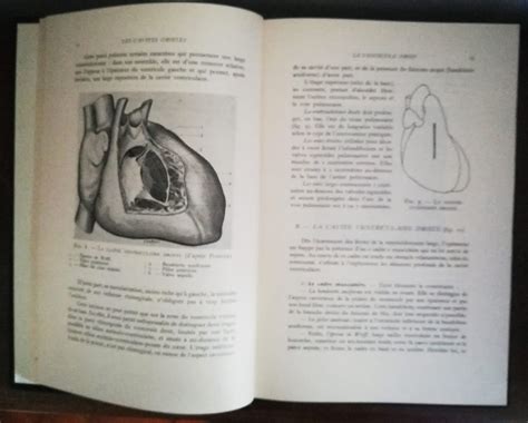 LES CAVITES CARDIAQUES: introduction anatomique à la ...