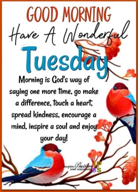 10 Blessed Good Morning Tuesday Greetings Tuesday Greetings Tuesday