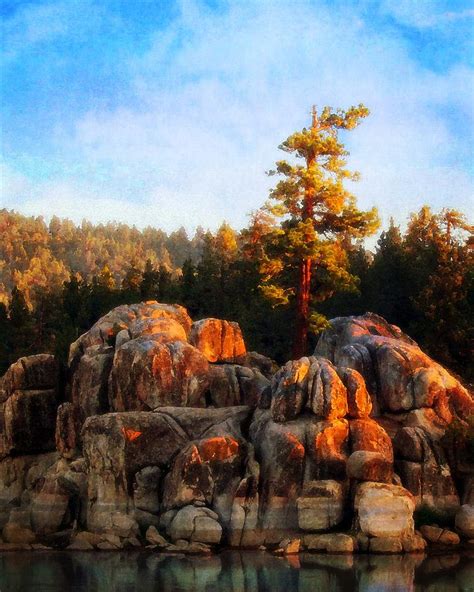 Boulders And Pine Photograph By Timothy Bulone Fine Art America