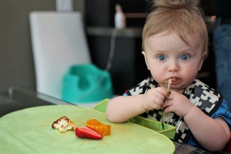Baby led weaning la tendencia en cuanto a alimentación de bebés