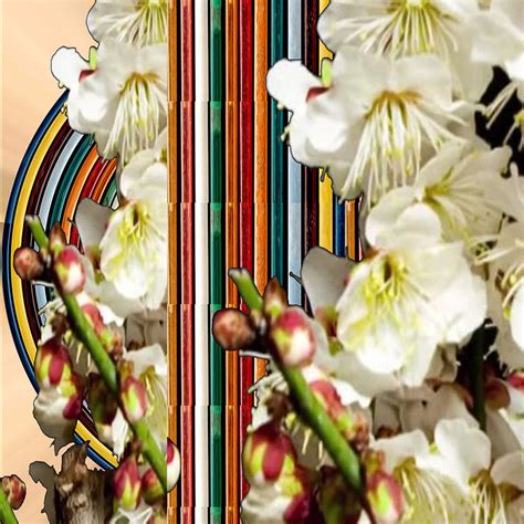 White Flower Medley Colorful Rainbow Stripes On The Backdrop Artist