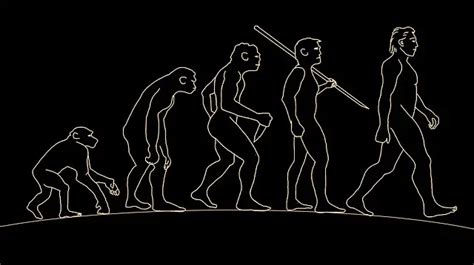 Human Evolution Timeline Helplio