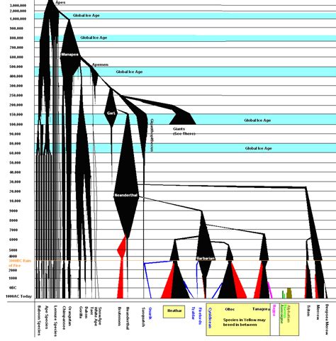 Human Evolutionary Timeline