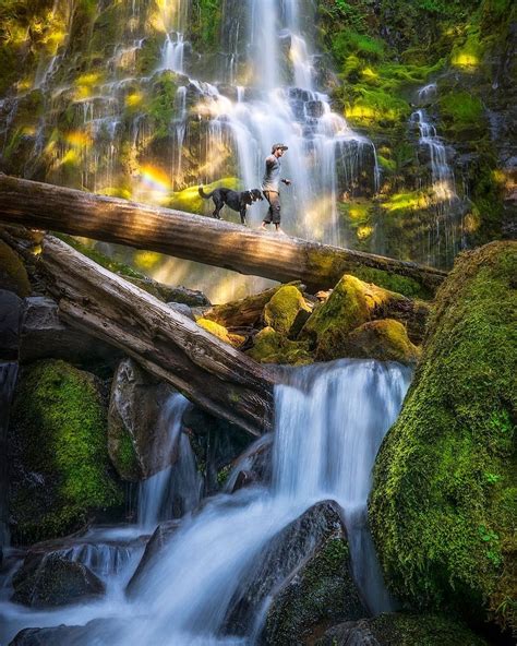 🇺🇸 Proxy Falls Oregon By Andrew Studer Andrewstuder • Instagram