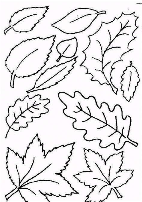 We did not find results for: Leaf Coloring Pages - Coloringpages1001.com