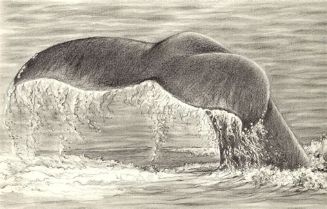 How To Draw A Realistic Wave At How To Draw