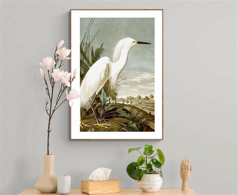 Snowy Heron By John James Audubon Fine Art Print Poster Etsy