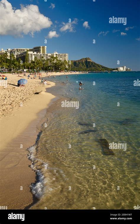 People Relaxing And Sunbathing On The Waikiki Beach Surrounded By