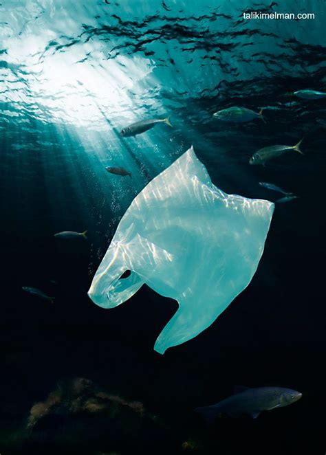 Marine Pollution Is 60 To 80 Plastic Say No To Plastic Bags Pledge