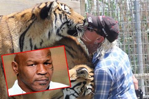 Mike Tyson Koleksi Kucing Besar Dan Penggemar Tiger King