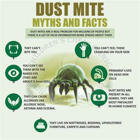 What Are Dust Mites Dr Ankit Parakh