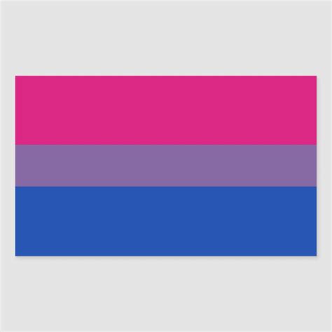 Bi Pride Flag Sticker Sheets Rectangle Size 4 5 X 2 7 Inch Gender Unisex Age Group Adult