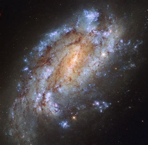 Hubble Image Of The Week Spiral Galaxy Ngc 1559