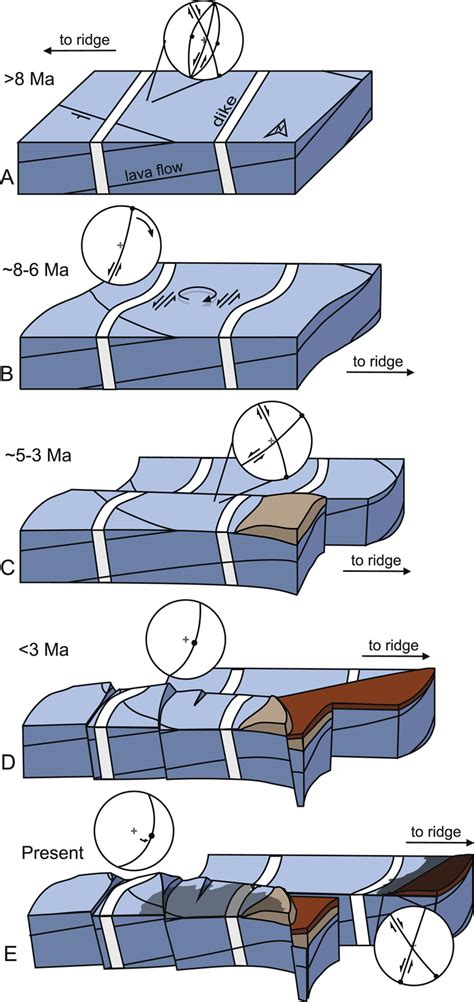 Schematic Block Diagrams Illustrating A Tentative Sequence Of Events In