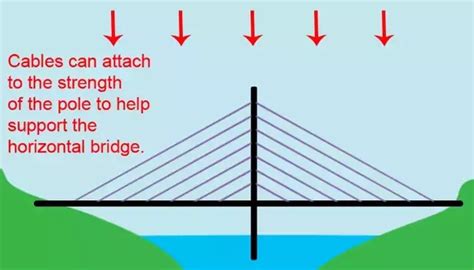 What Is The Difference Between The Cable Stayed Bridge And A Suspension