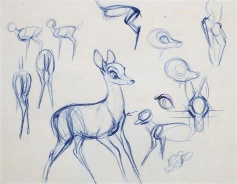 Walt Disney Bambi Sketches Disney Sketches Sketches Disney Drawings