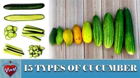 Types Of Cucumbers How Many Different Types Of Cucumber Common
