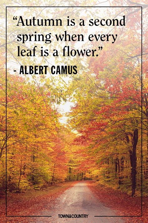 These Autumnal Quotes Will Put You In The Mood For Fall Autumn Quotes Season Quotes Best Quotes
