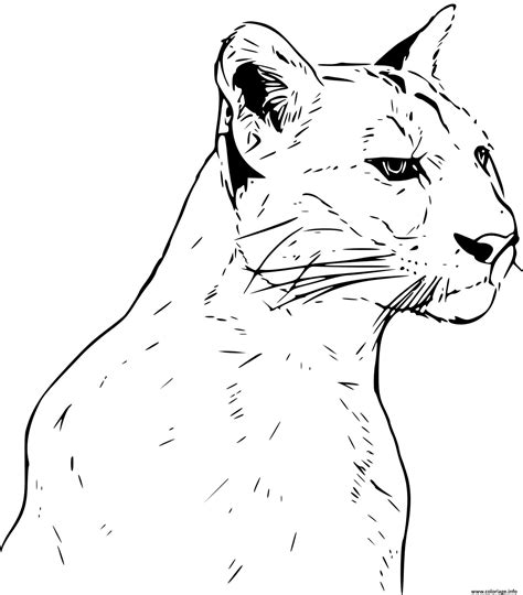 Coloriage Puma Panthere Realiste JeColorie