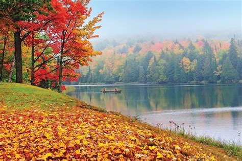Pure Michigan autumn on the lake | Pure michigan, Michigan tourism