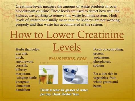 What drugs effect potassium levels? How 2 lower Creatinine levels | BE + WELL | Pinterest