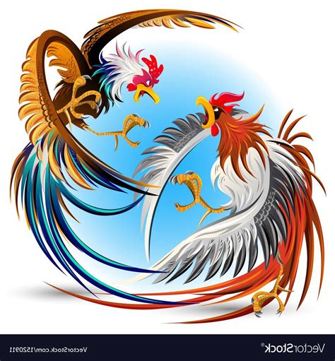 Fighting Rooster Vector At Collection Of Fighting