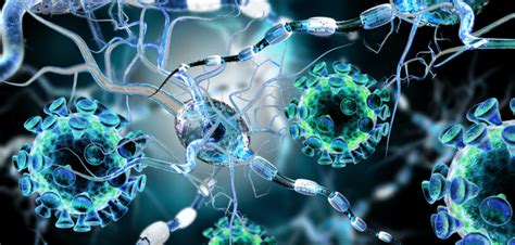 Inflammation and immunology - Neuro Central