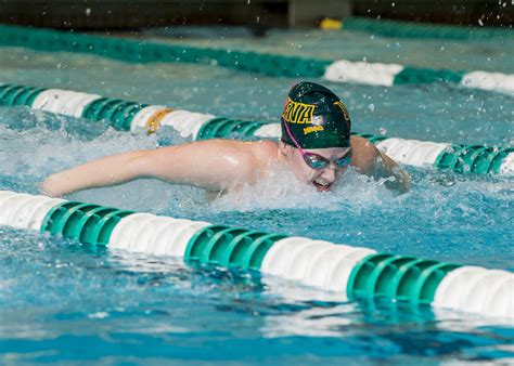 Swimming Dominates Against Stony Brook Siena College Athletics