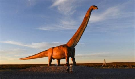 Sintético 121 Existieron Los Dinosaurios En Argentina Musarmx
