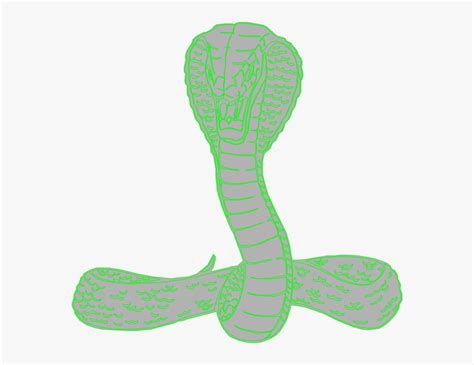 Viper Snake Clip Art Illustration Hd Png Download Kindpng