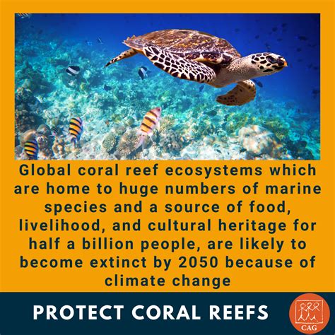 Climate Change Coral Ecosystems Under Threat Cag