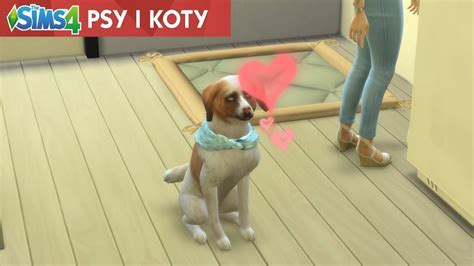 The Sims 4 Psy I Koty Od Zera Do Milionera Cz 20 Czy Mam Wyjść Za