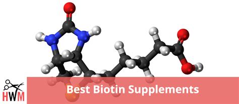 Contents 1 how exactly does biotin work in treating hair loss? 10 Best Biotin Supplements for Hair Growth - Hair World Mag