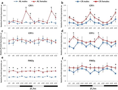calorie restriction effects on circadian rhythms in gene expression are sex dependent