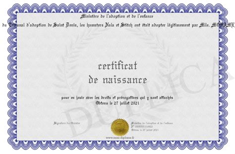 Certificat De Naissance