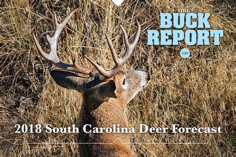 2018 South Carolina Deer Forecast Game And Fish