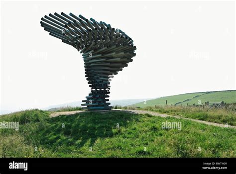 The Singing Ringing Tree Designed By Anna Liu And Mike Tonkin Situated