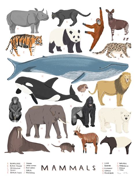 Mammals Print — Alex Foster