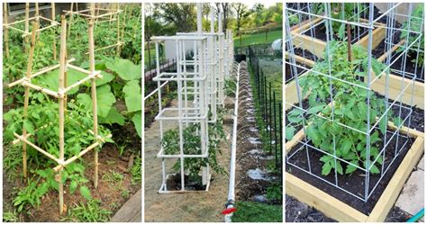 15 Diy Tomato Cage Ideas How To Make Tomato Cages