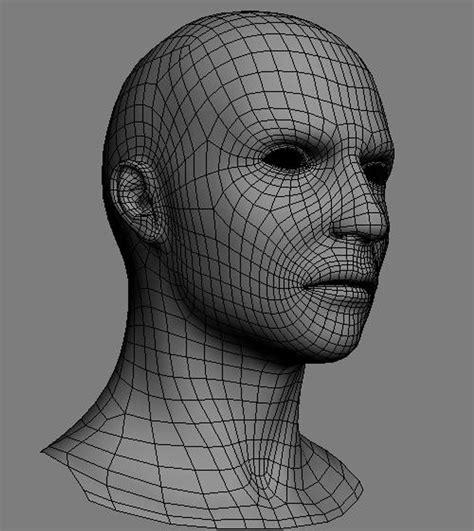 3d base mesh human head model