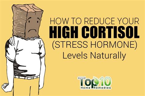 How To Reduce Your High Cortisol Stress Hormone Level Naturally Top