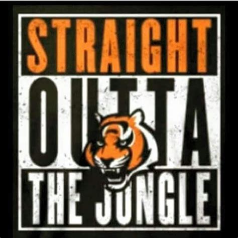 Pin By Berdie Creech On Cincinnatiohio State Memes Bengals Football