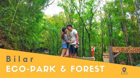 Suitable for all ages and fitness levels, this gentle slope is the best way to get some exercise. Eco-Park & Man-Made Forest in Bilar (Bohol, Philippines ...